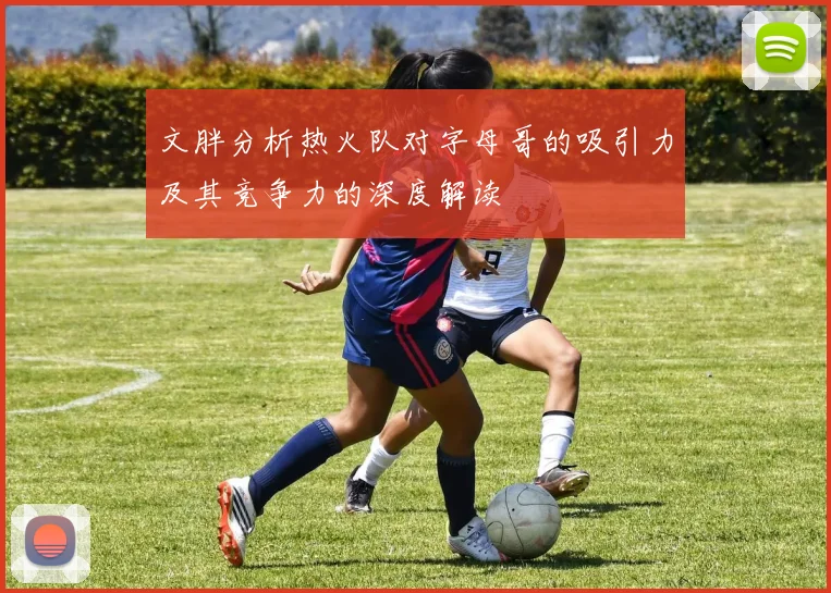 文胖分析热火队对字母哥的吸引力及其竞争力的深度解读