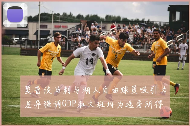 夏普谈马刺与湖人自由球员吸引力差异强调GDP和文班均为选秀所得