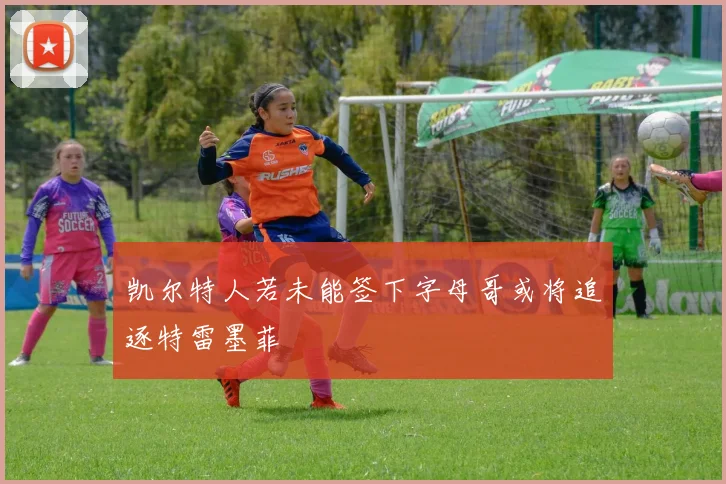 凯尔特人若未能签下字母哥或将追逐特雷墨菲