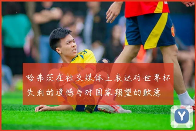 哈弗茨在社交媒体上表达对世界杯失利的遗憾与对国家期望的歉意